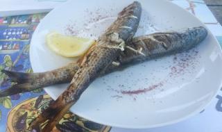 对我而言可爱的她插曲 对我而言可爱的她插曲